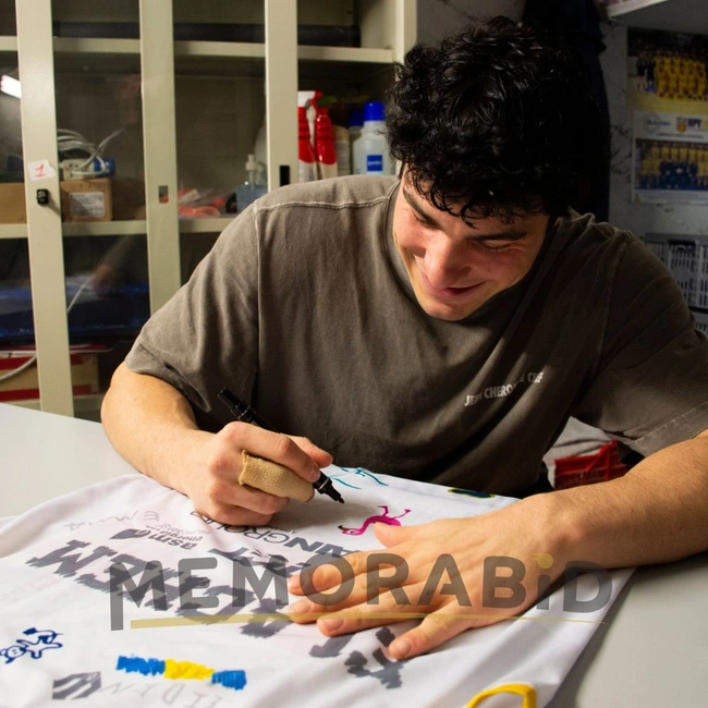 cover of the auction item