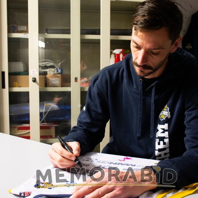 cover of the auction item