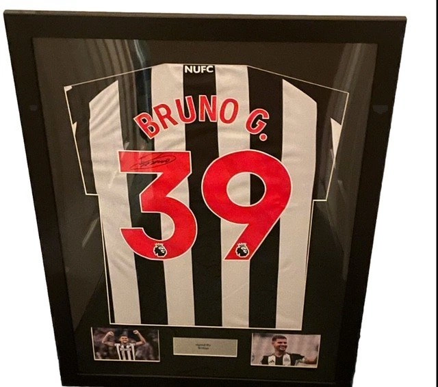 cover of the auction item