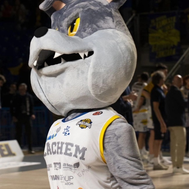 cover of the auction item