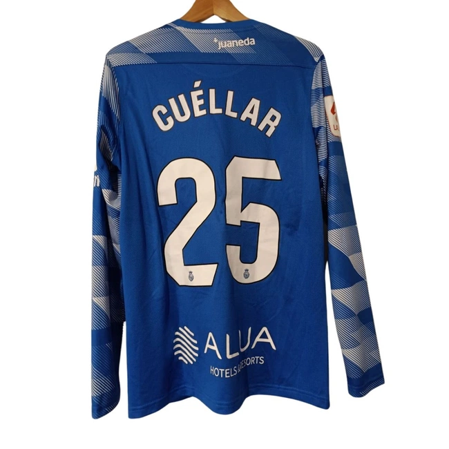 cover of the auction item