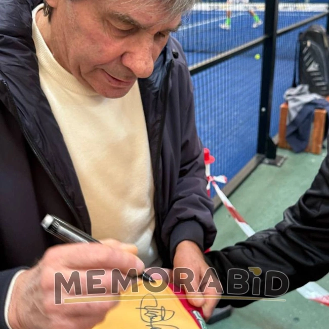 cover image of the auction item