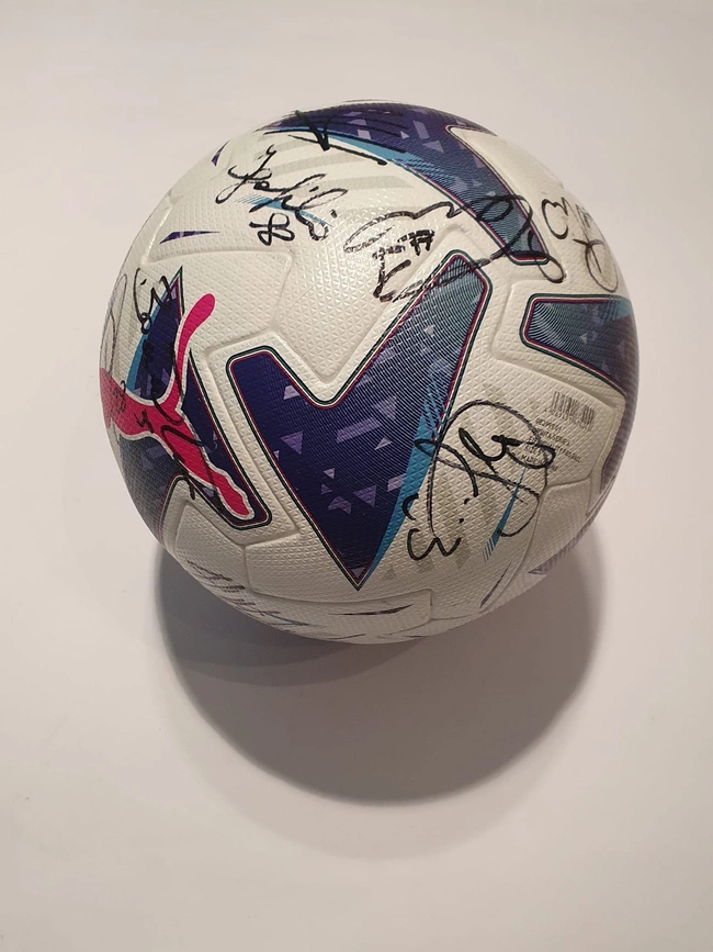 cover of the auction item