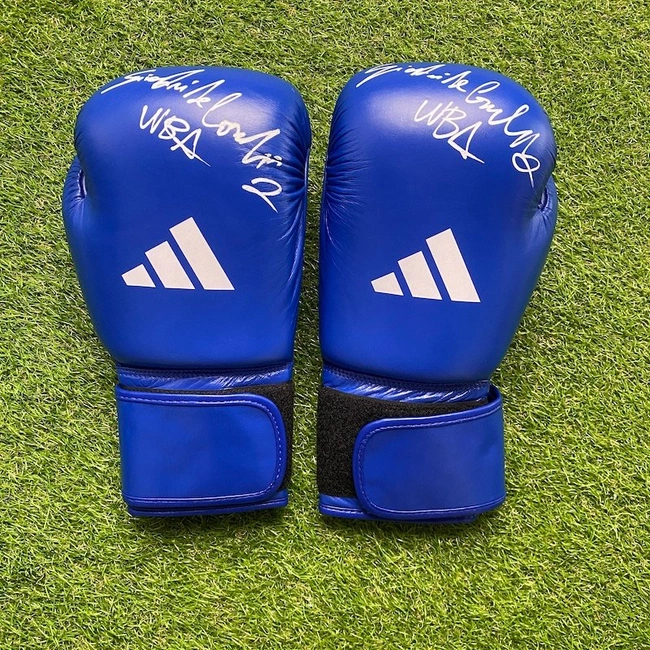 cover image of the auction item