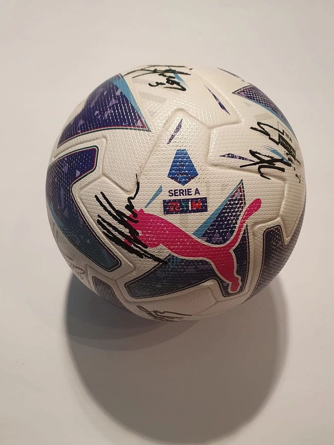 cover image of the auction item