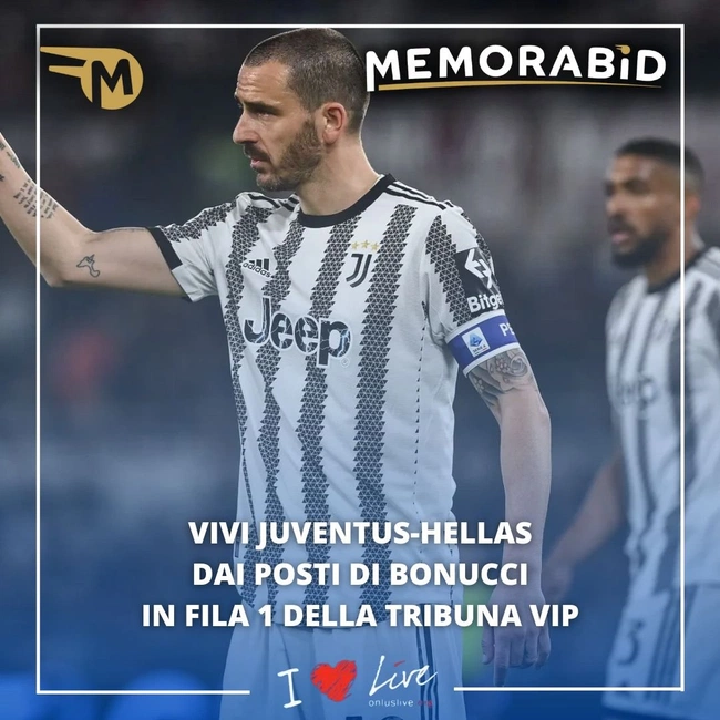 cover of the auction item