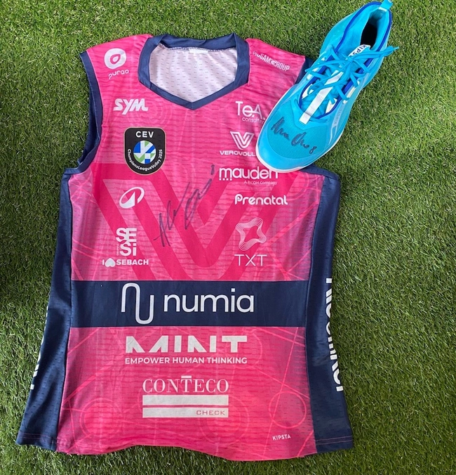 cover of the auction item