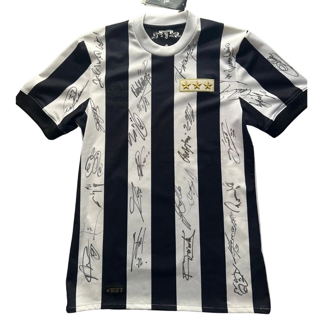 cover image of the auction item