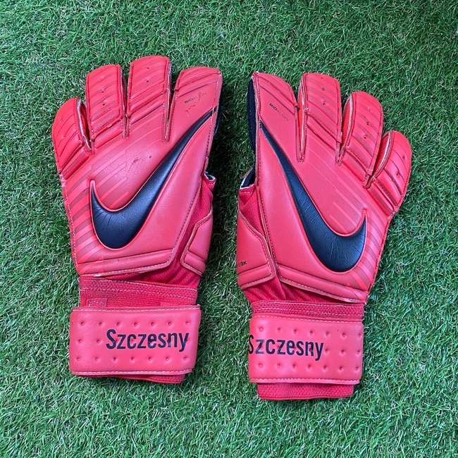 cover of the auction item