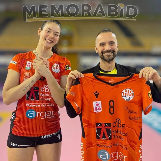 cover of the auction item