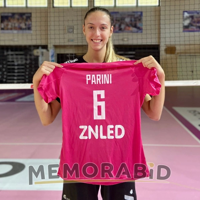 cover of the auction item