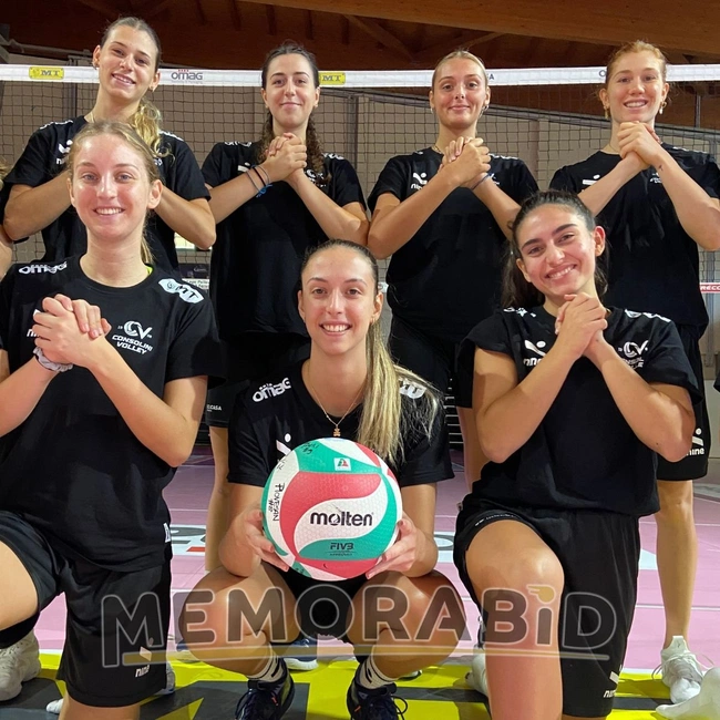 cover of the auction item