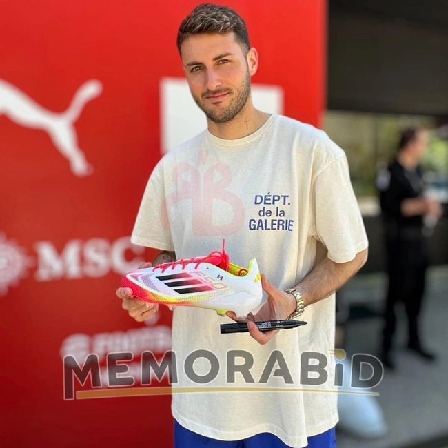 cover of the auction item