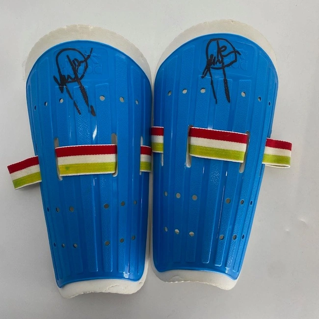 cover image of the auction item