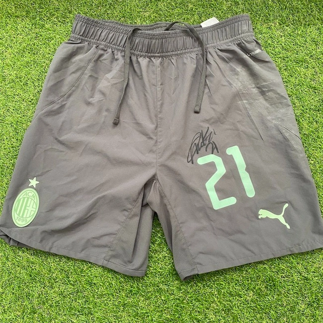 cover of the auction item