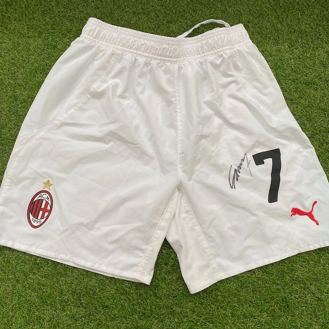 cover of the auction item