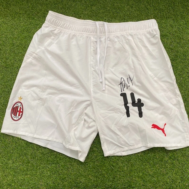 cover of the auction item