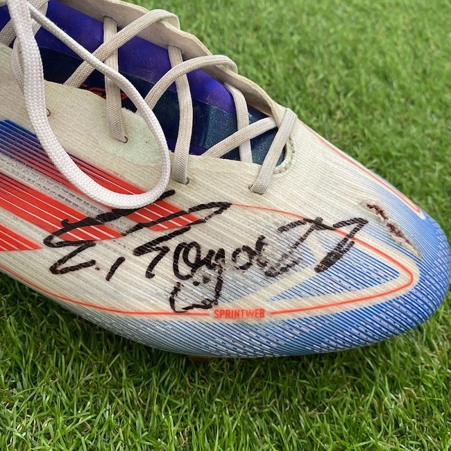 cover image of the auction item