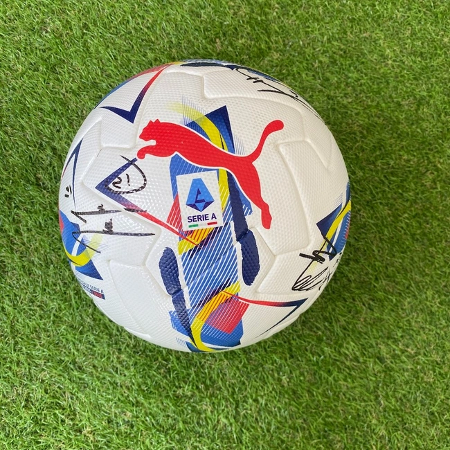 cover image of the auction item