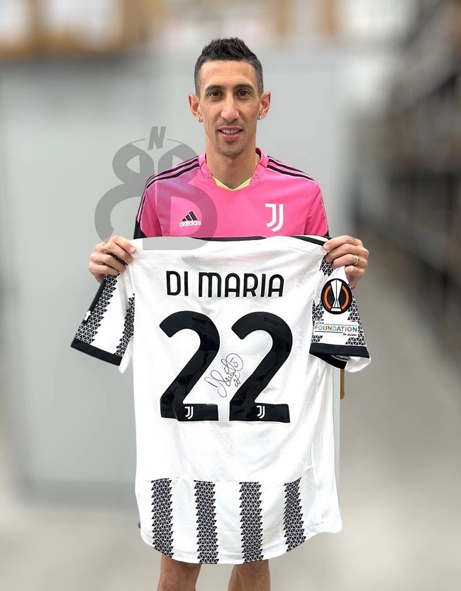 cover image of the auction item