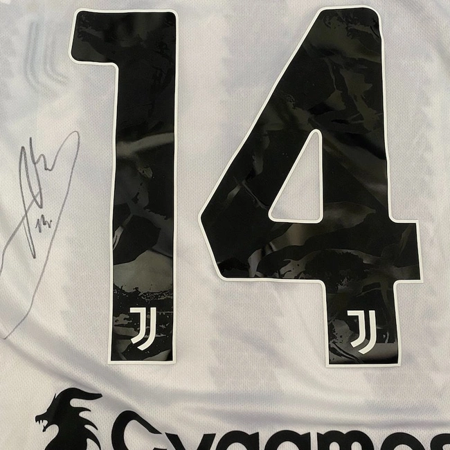 cover image of the auction item