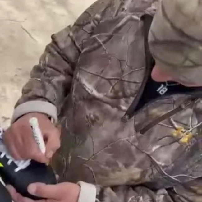 cover image of the auction item