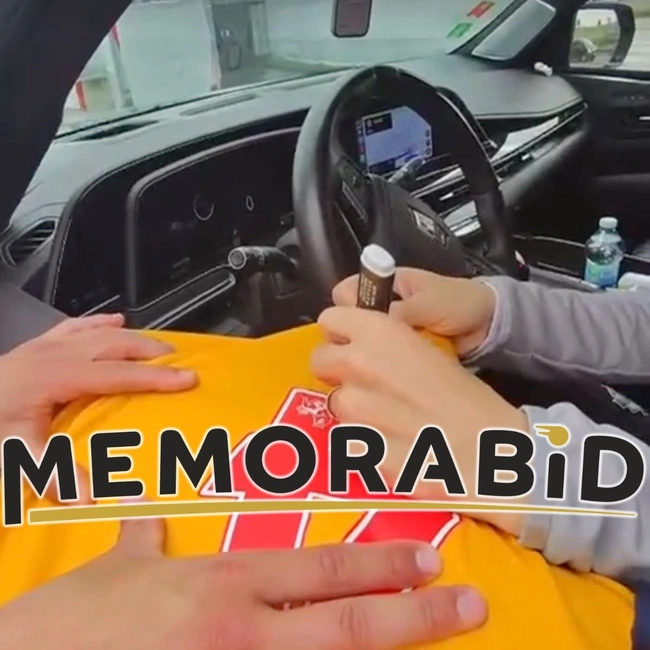 cover image of the auction item