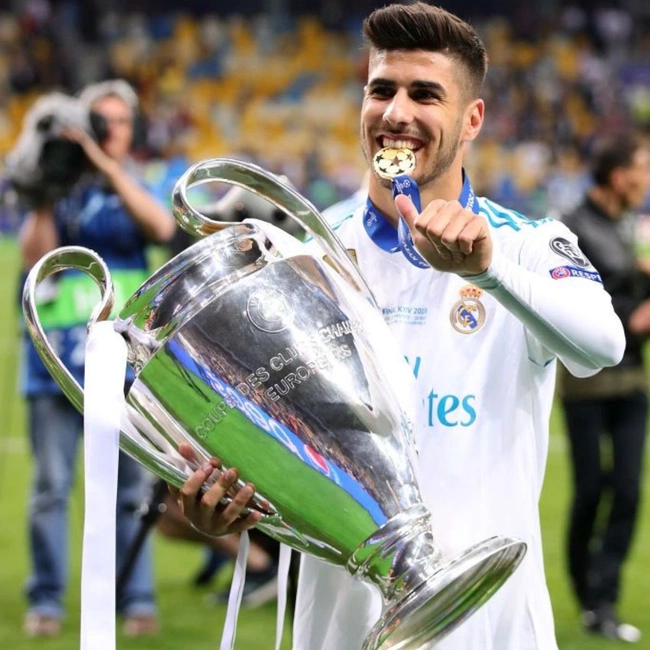 cover image of the auction item