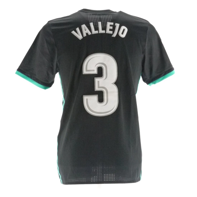 cover of the auction item