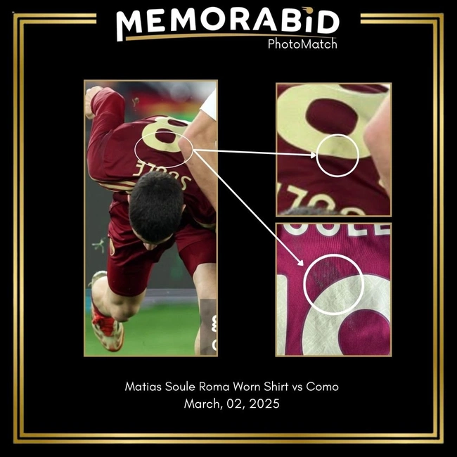 cover of the auction item