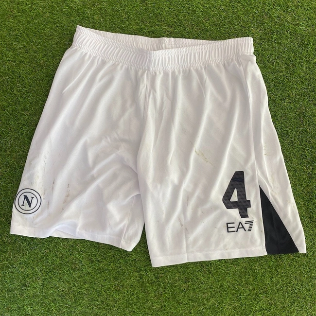 cover image of the auction item