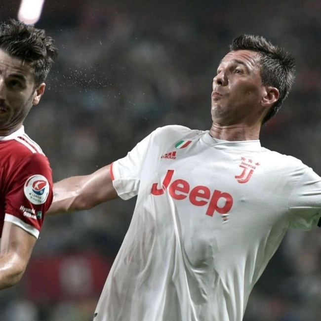 cover image of the auction item