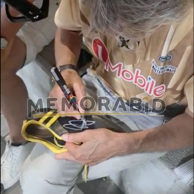 cover of the auction item