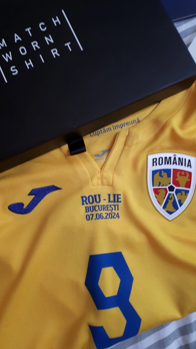 cover of the auction item