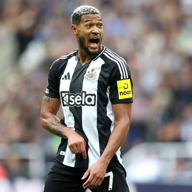 cover of the auction item