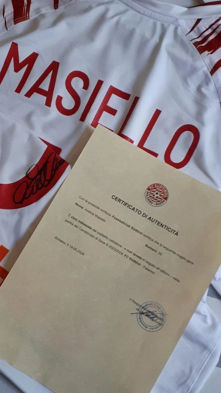 cover of the auction item