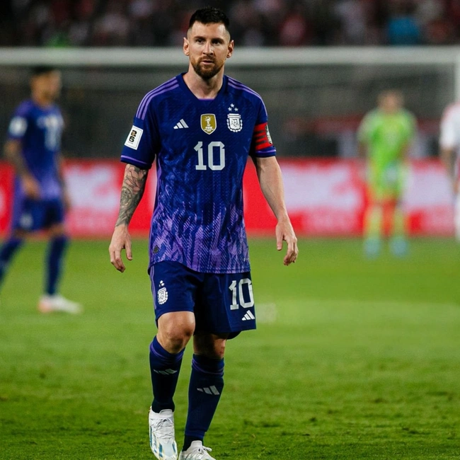 cover of the auction item