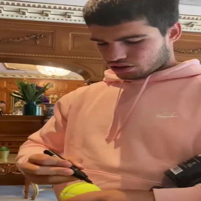 cover of the auction item