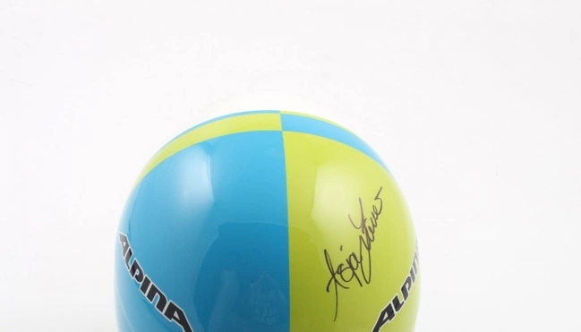 cover of the auction item