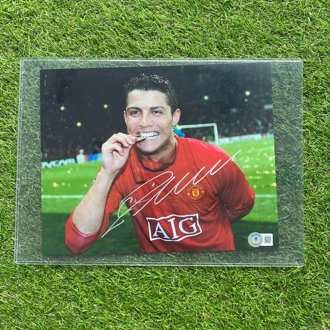 cover image of the auction item