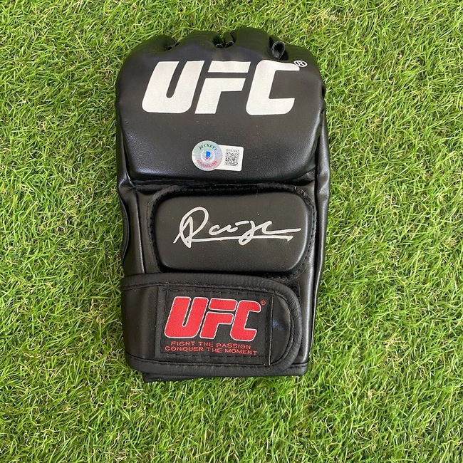 cover of the auction item