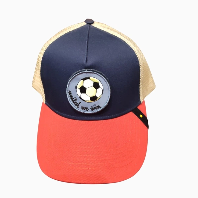 cover of the auction item