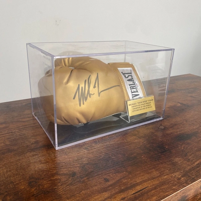 cover image of the auction item