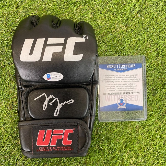 cover of the auction item