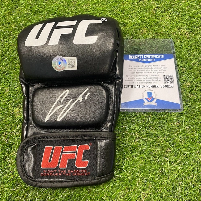 cover of the auction item