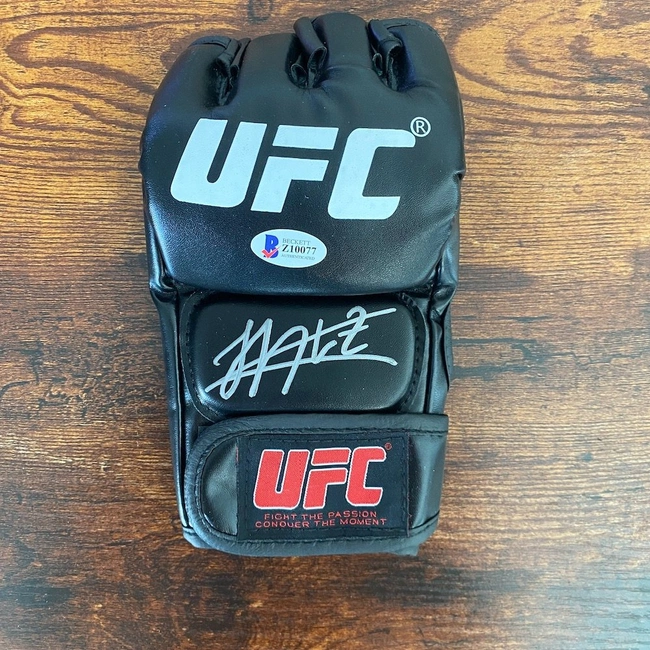 cover of the auction item