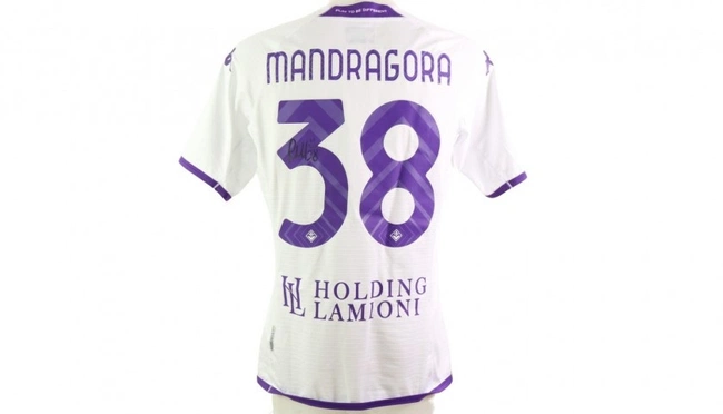 cover of the auction item