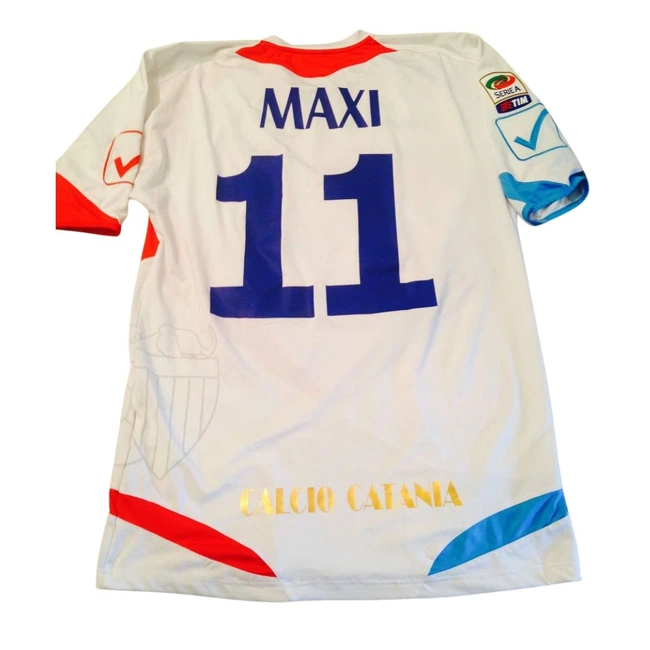 cover image of the auction item