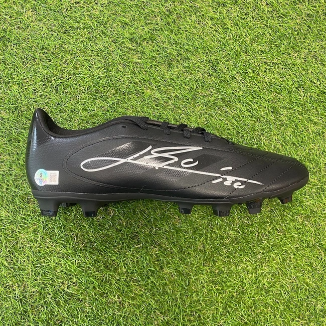 cover of the auction item