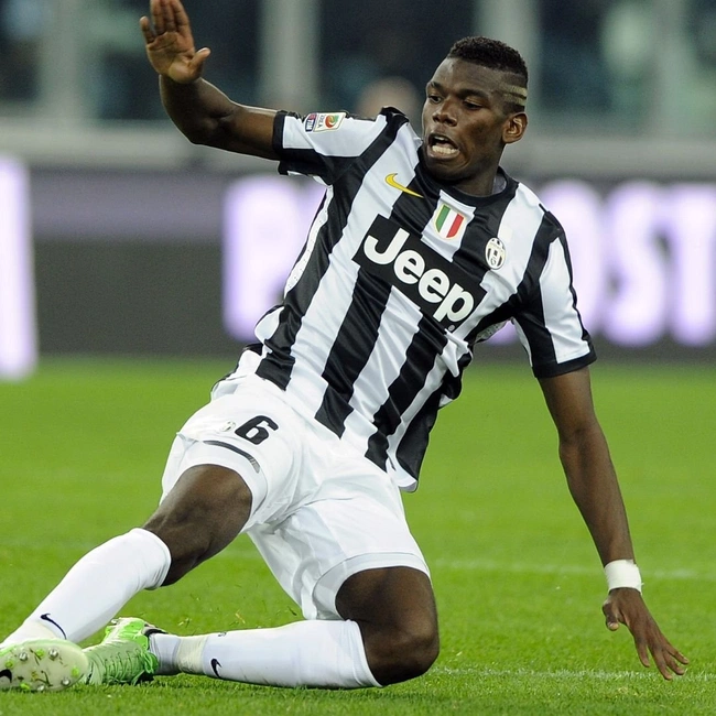 cover of the auction item